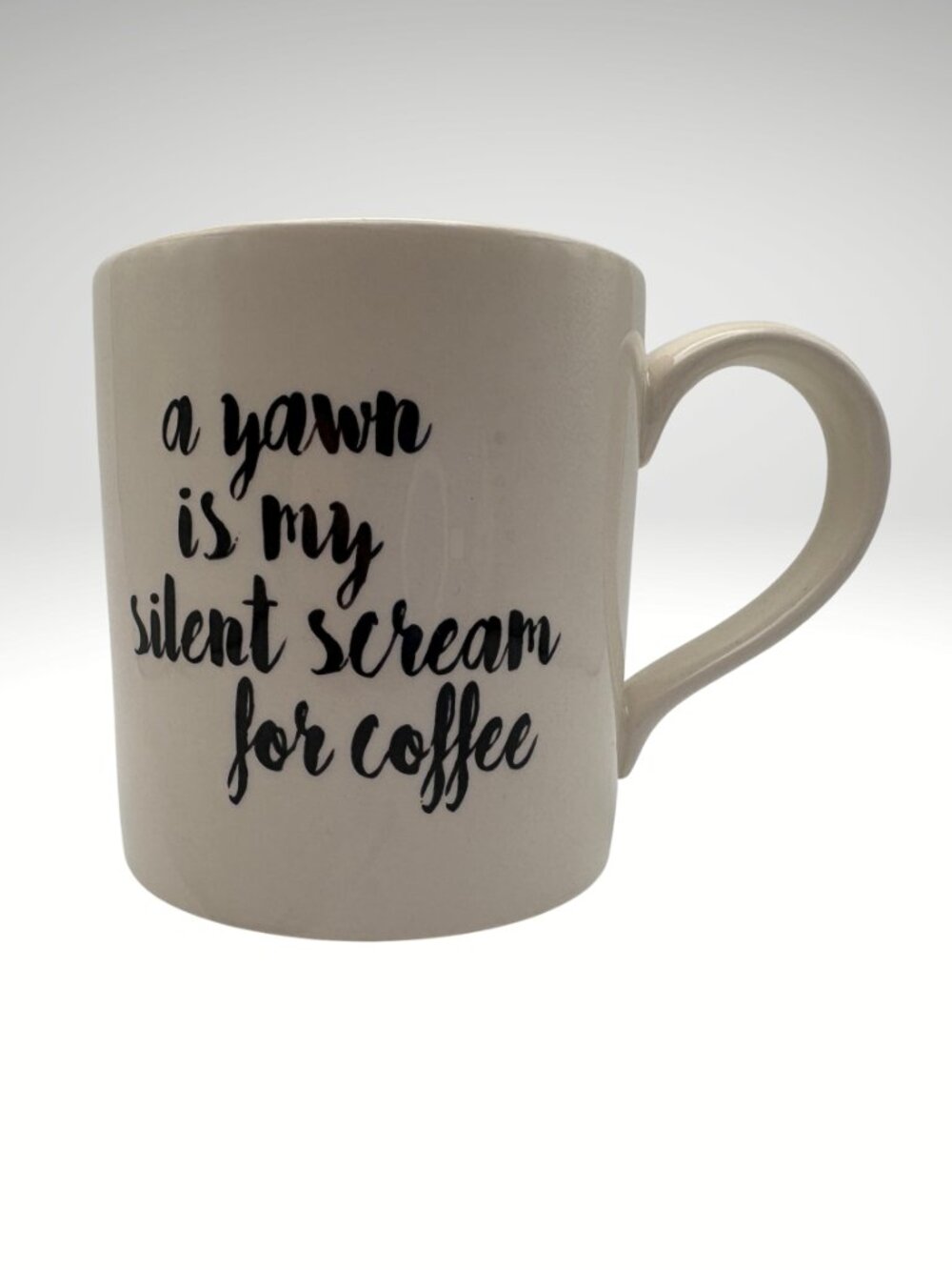 Royal Stafford A Yawn Is My Silent Scream Funny Coffee Mug Gift (SKU:304MIMG)